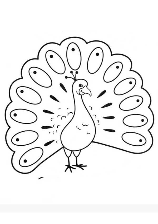 Desenho de Pavão para imprimir