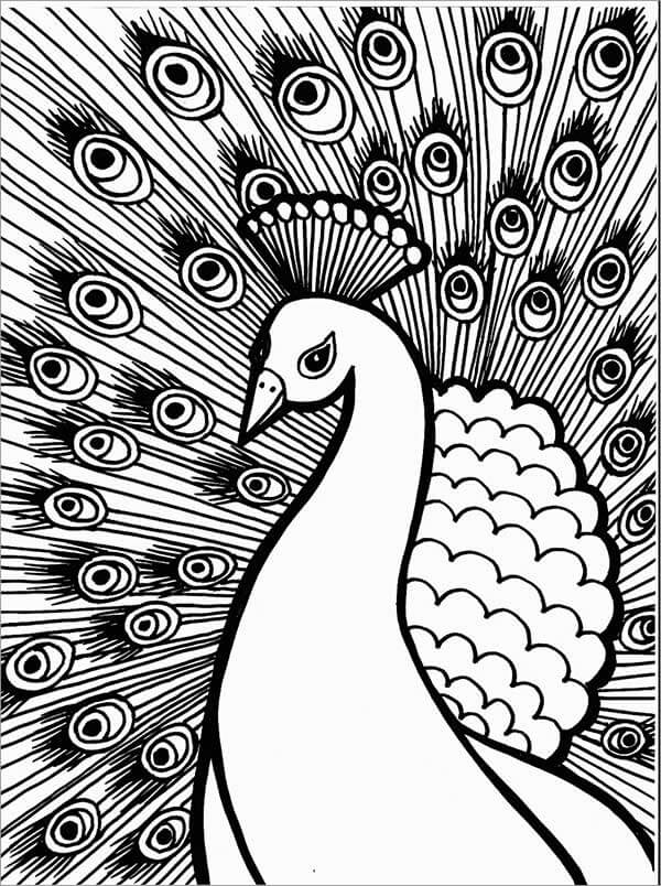 Desenho de Pavão para imprimir