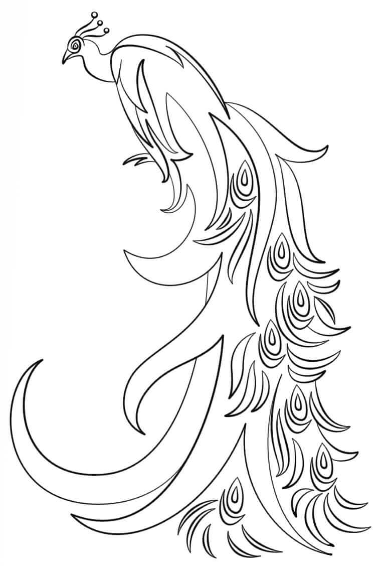 Desenho de Pavão para imprimir
