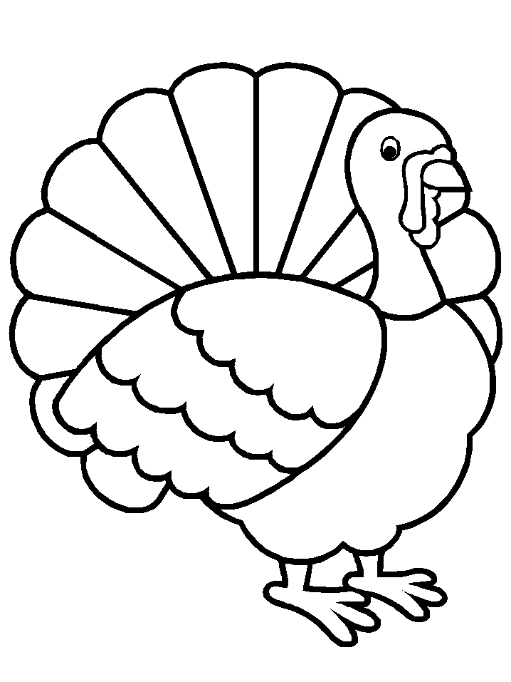 Desenho de Pavão para imprimir