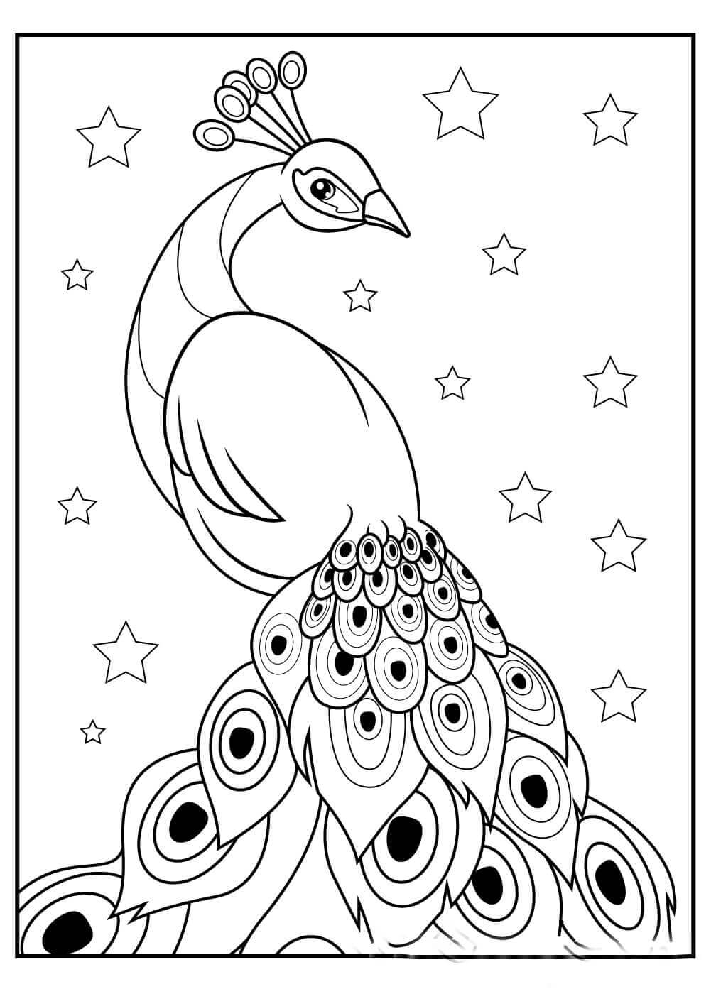 Desenho de Pavão para imprimir