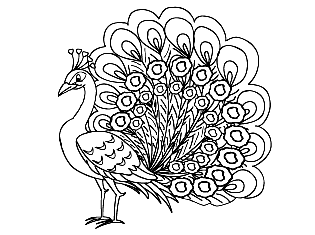 Desenho de Pavão para imprimir