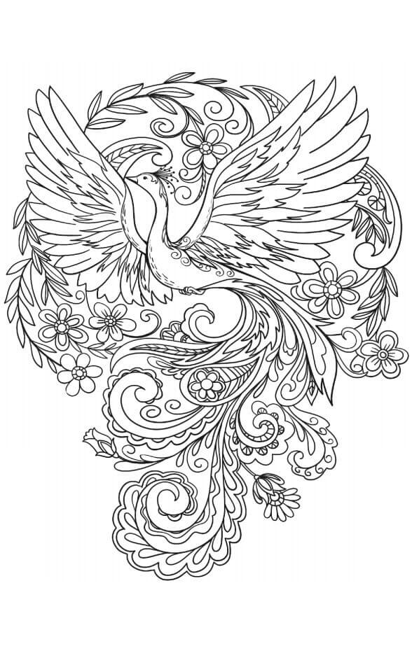 Desenho de Pavão para imprimir