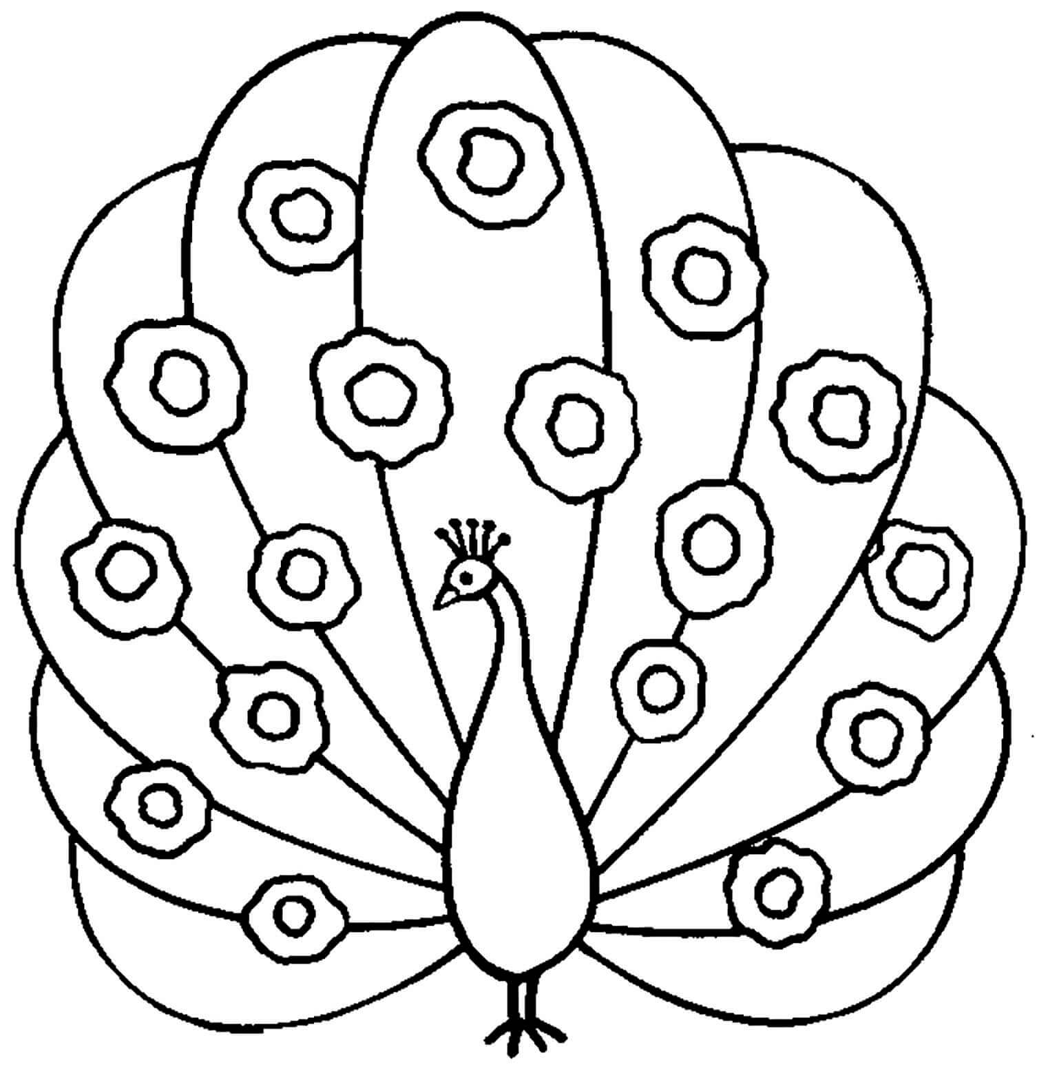 Desenho de Pavão para imprimir