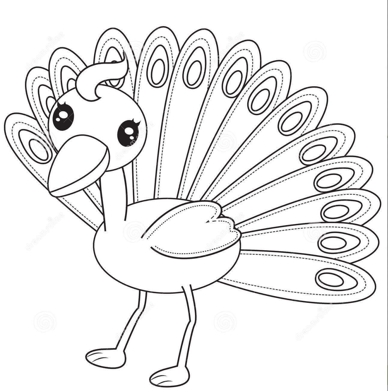Desenho de Pavão para imprimir