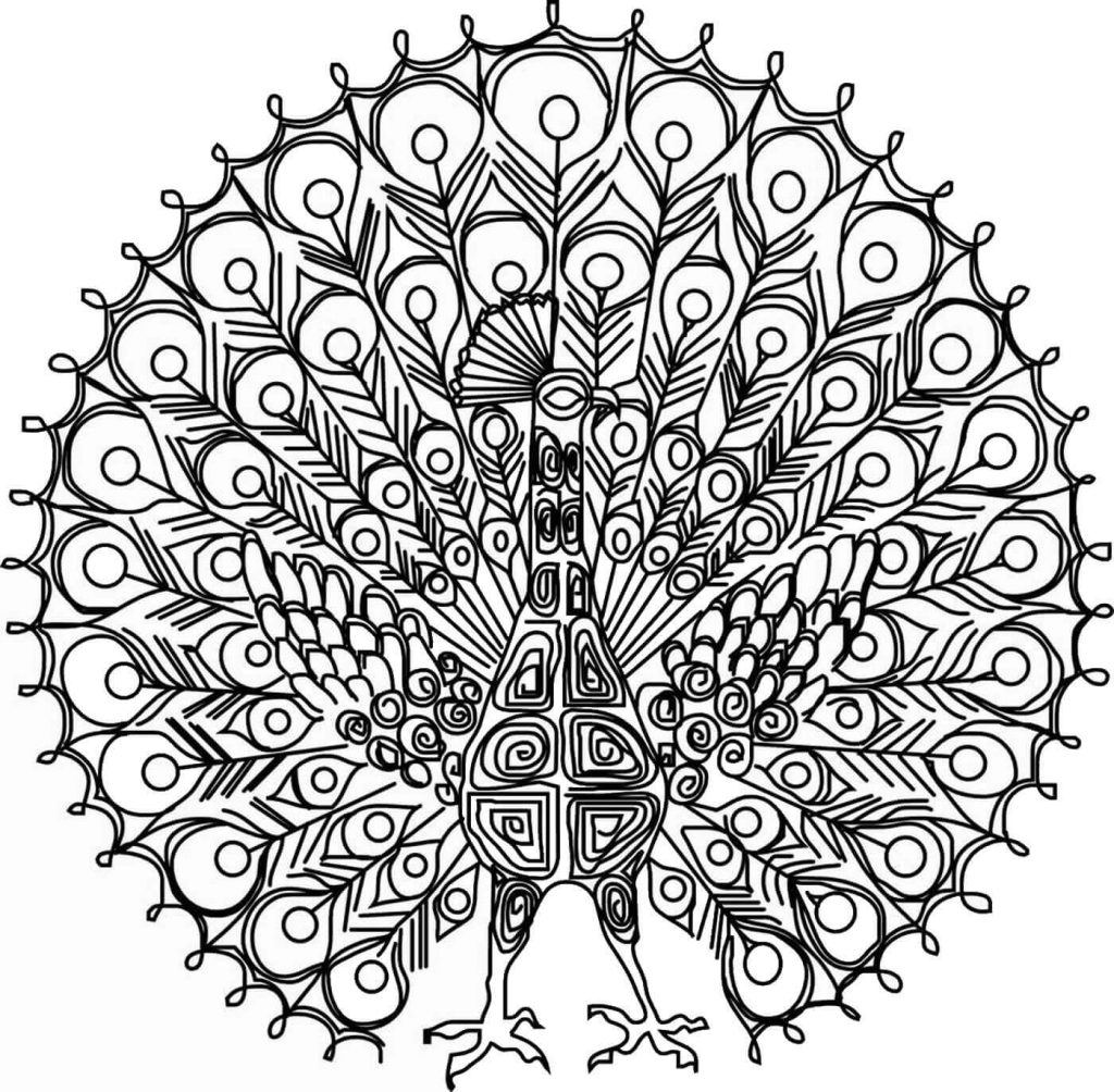 Desenho de Pavão para imprimir