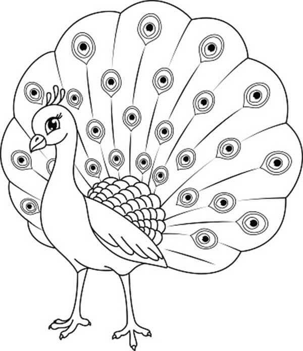 Desenho de Pavão para imprimir
