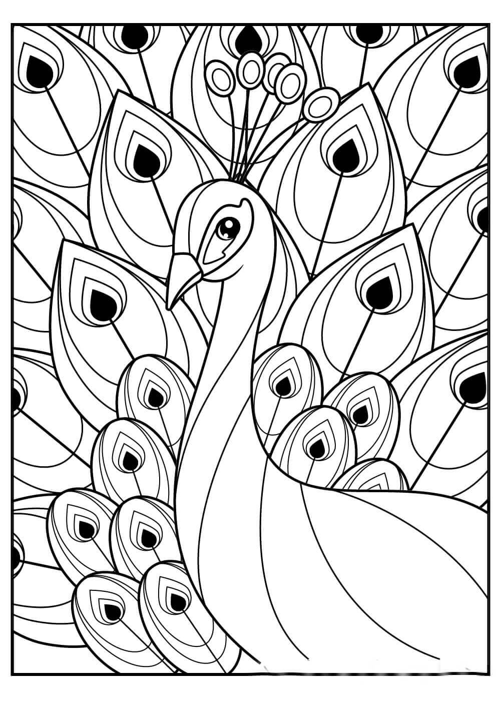 Desenho de Pavão para imprimir