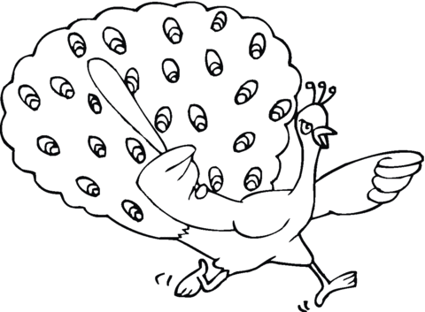 Desenho de Pavão para imprimir