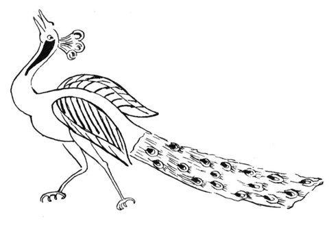 Desenho de Pavão para imprimir