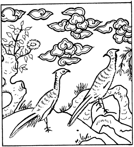 Desenho de Pavão para imprimir