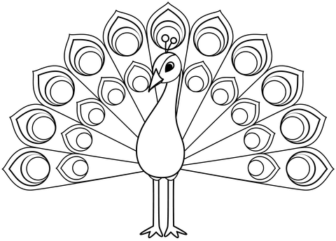 Desenho de Pavão para imprimir