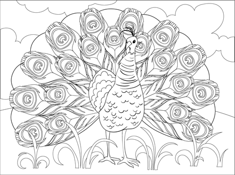 Desenho de Pavão para imprimir