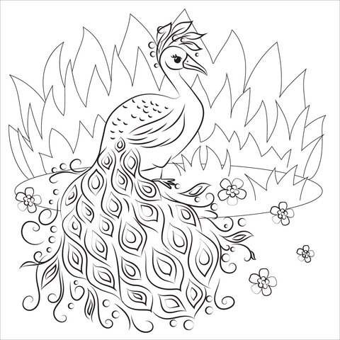 Desenho de Pavão para imprimir