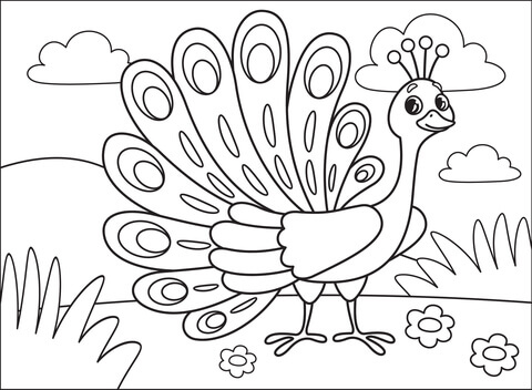Desenho de Pavão para imprimir