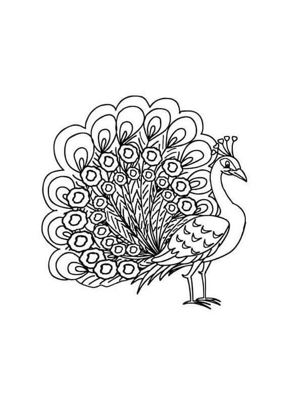 Desenho de Pavão para imprimir