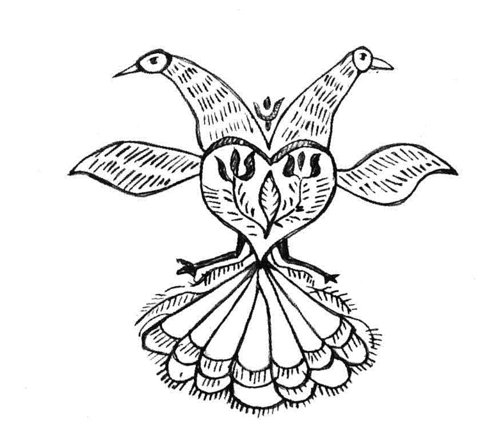 Desenho de Pavão para imprimir