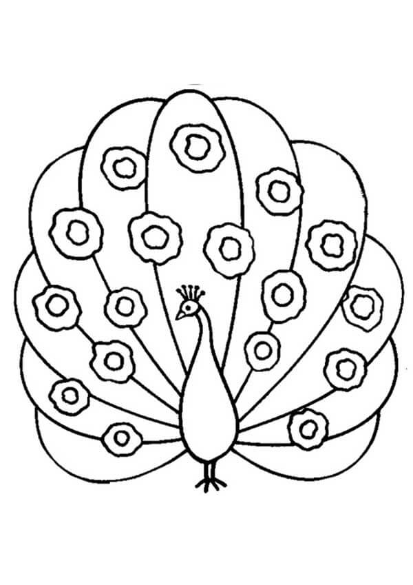 Desenho de Pavão para imprimir