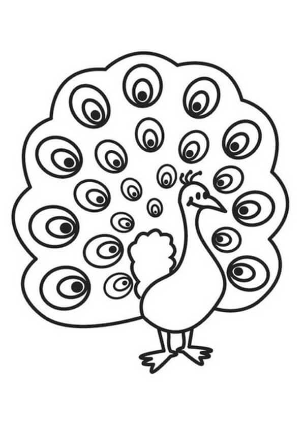 Desenho de Pavão para imprimir