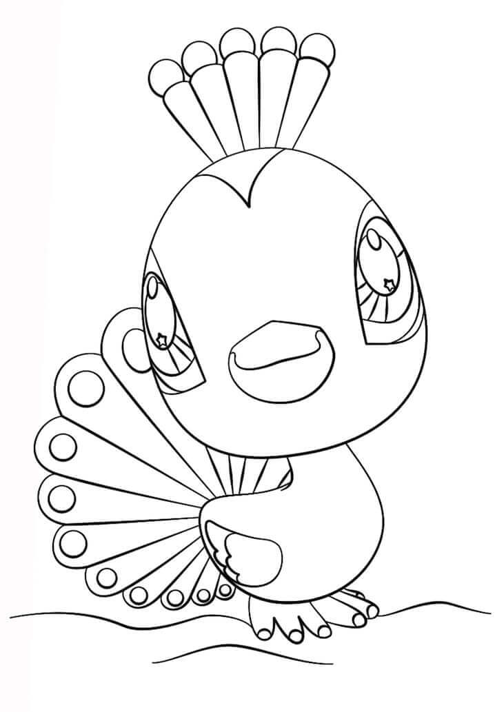Desenho de Pavão para imprimir