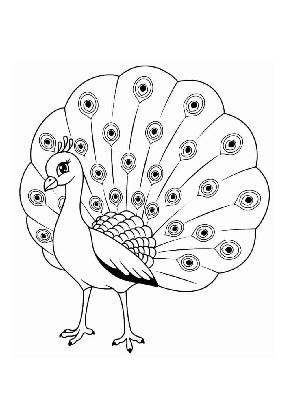 Desenho de Pavão para imprimir