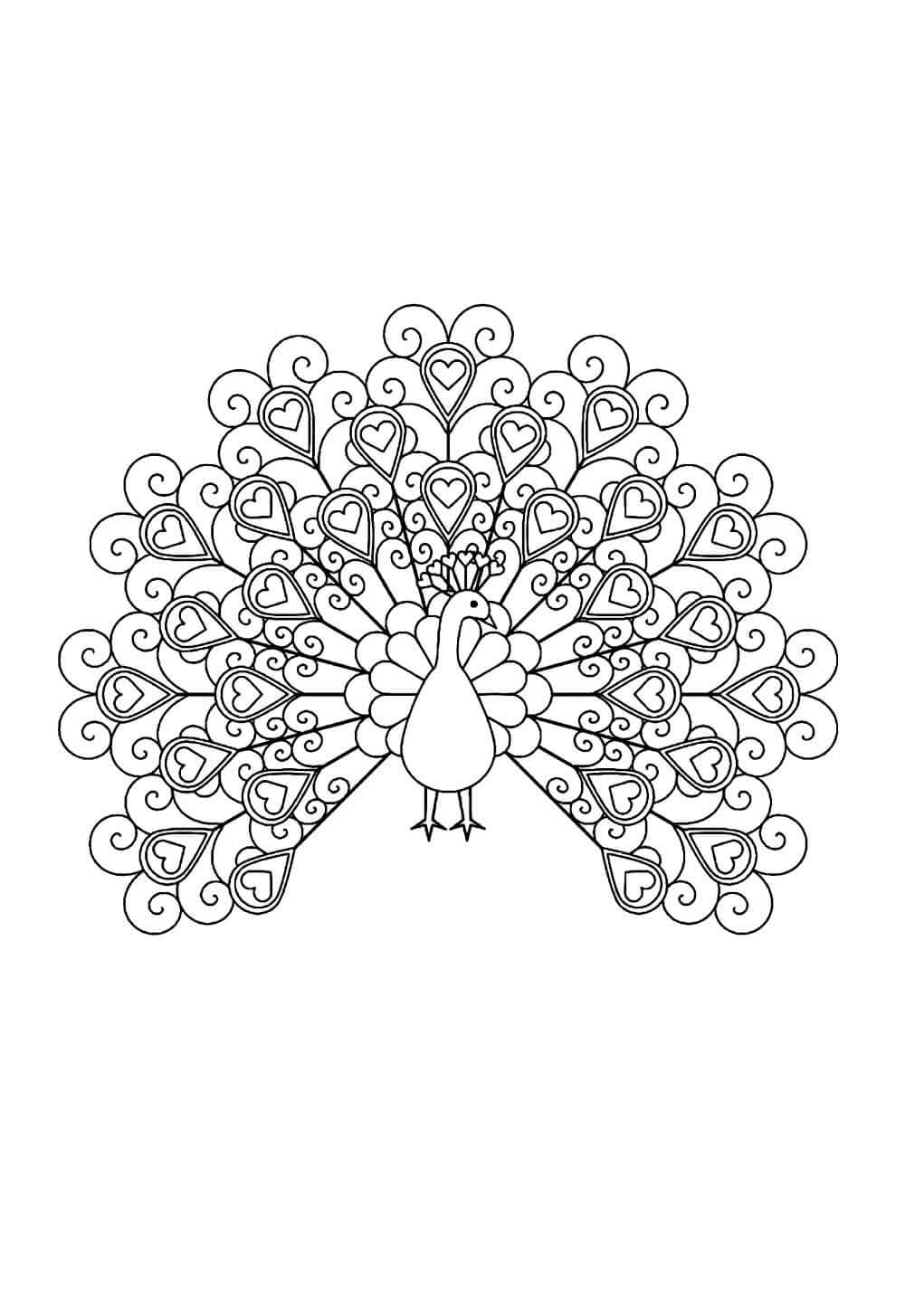 Desenho de Pavão para imprimir