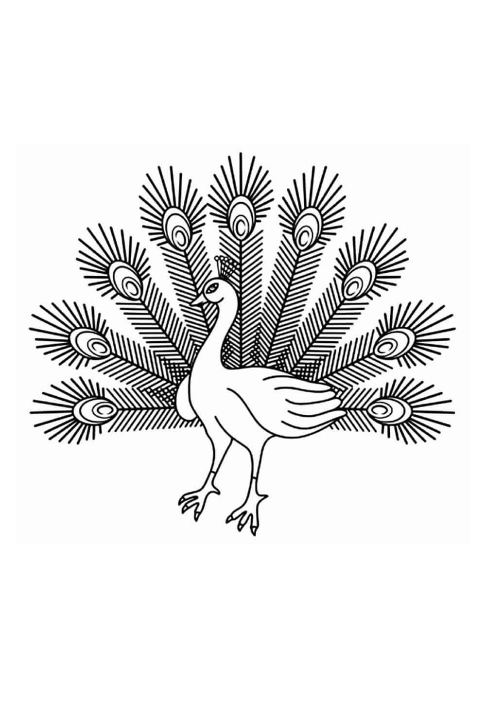 Desenho de Pavão para imprimir