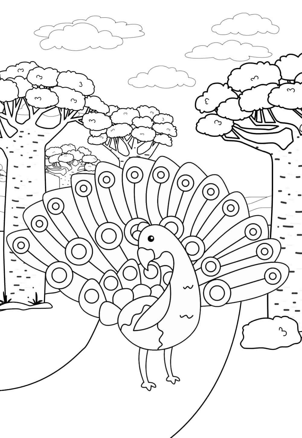 Desenho de Pavão para imprimir