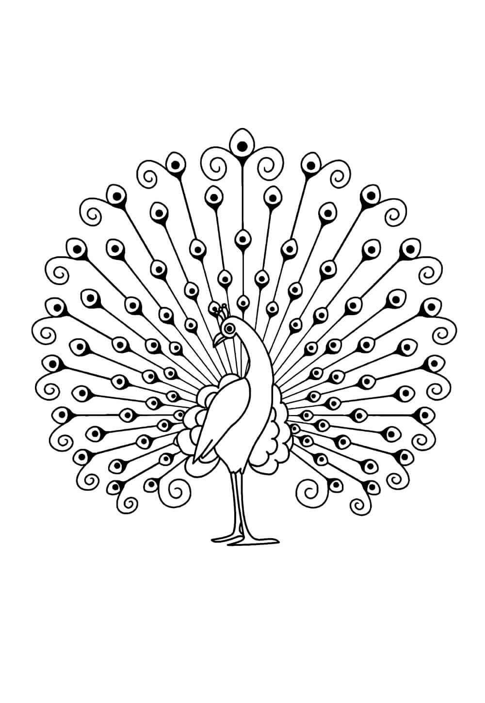 Desenho de Pavão para imprimir