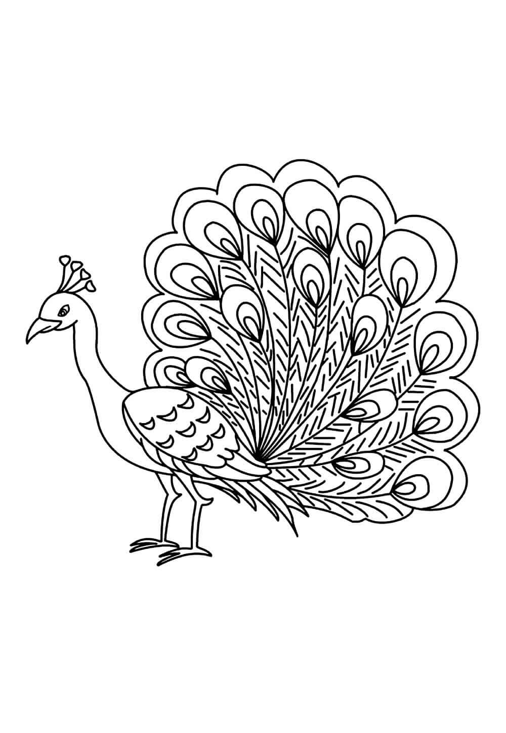 Desenho de Pavão para imprimir