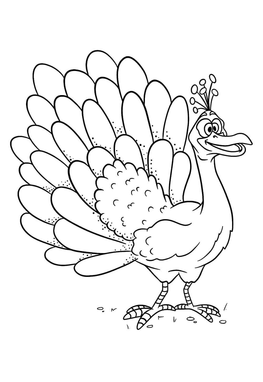 Desenho de Pavão para imprimir