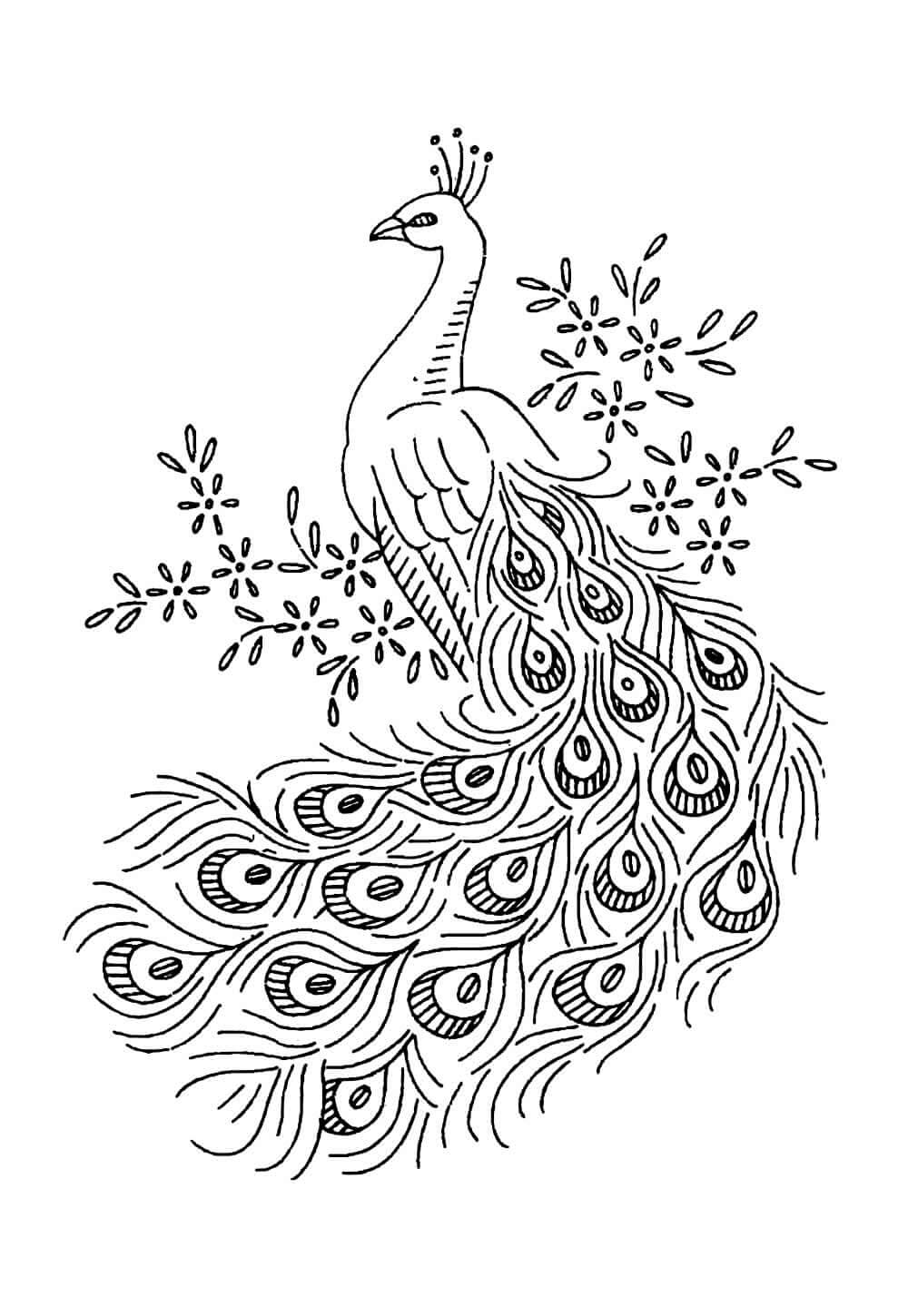 Desenho de Pavão para imprimir