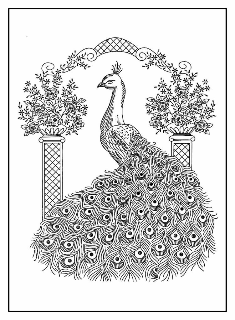 Desenho de Pavão para imprimir