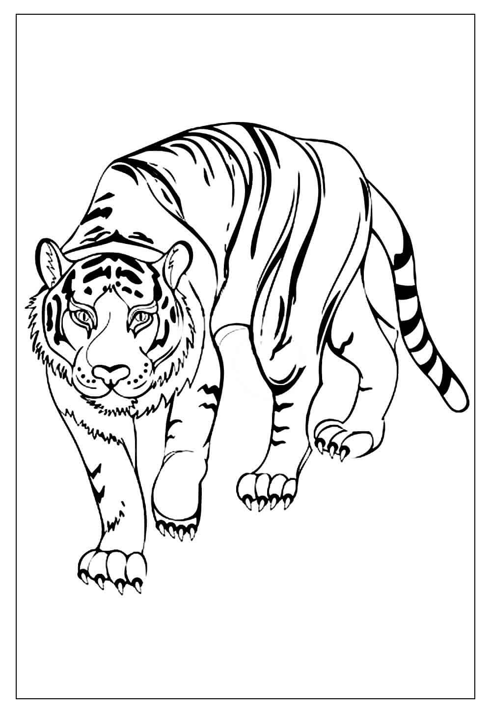 Desenho de Tigre para imprimir