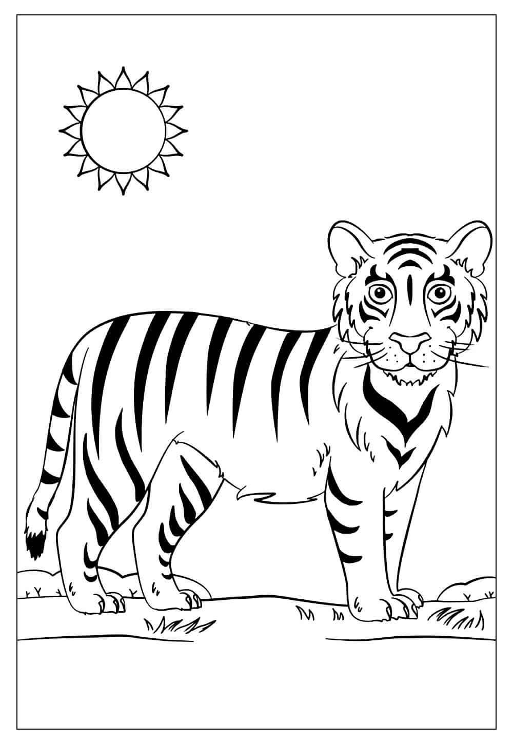Desenho de Tigre para imprimir