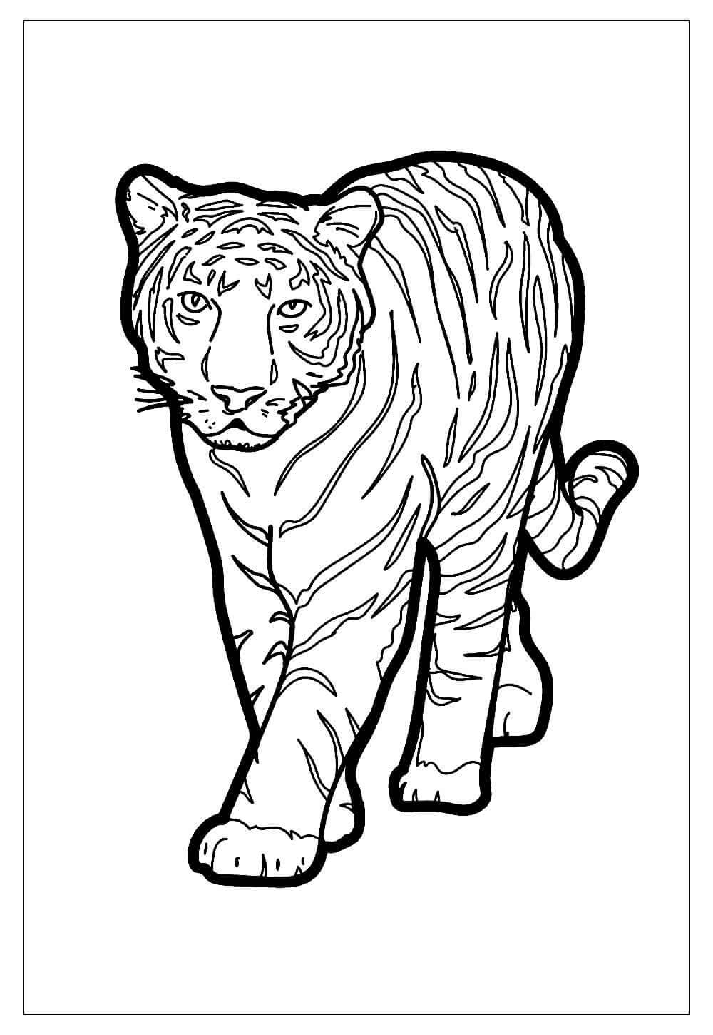 Desenho de Tigre para imprimir