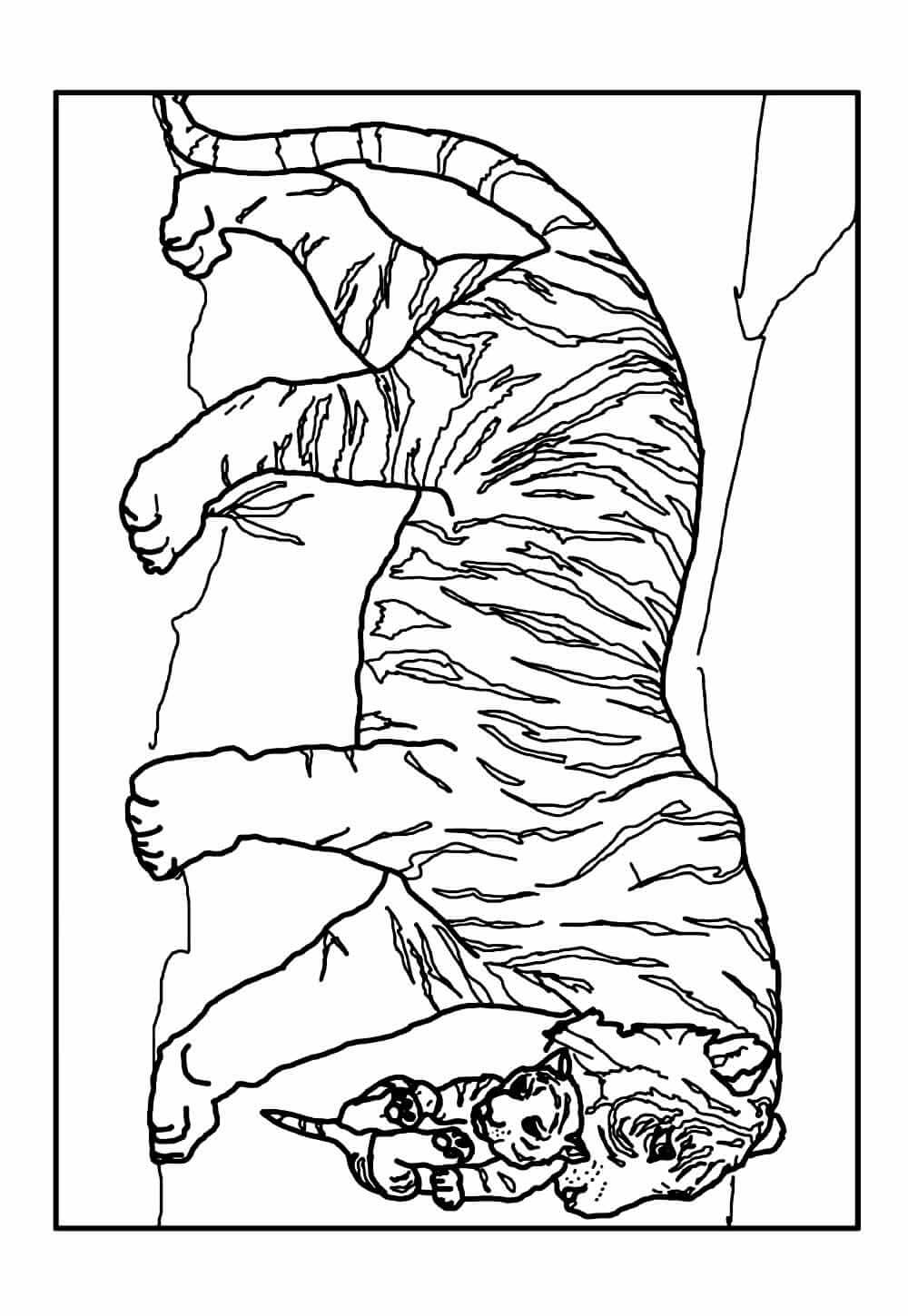 Desenho de Tigre para imprimir