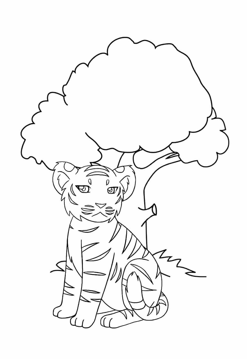 Desenho de Tigre para imprimir