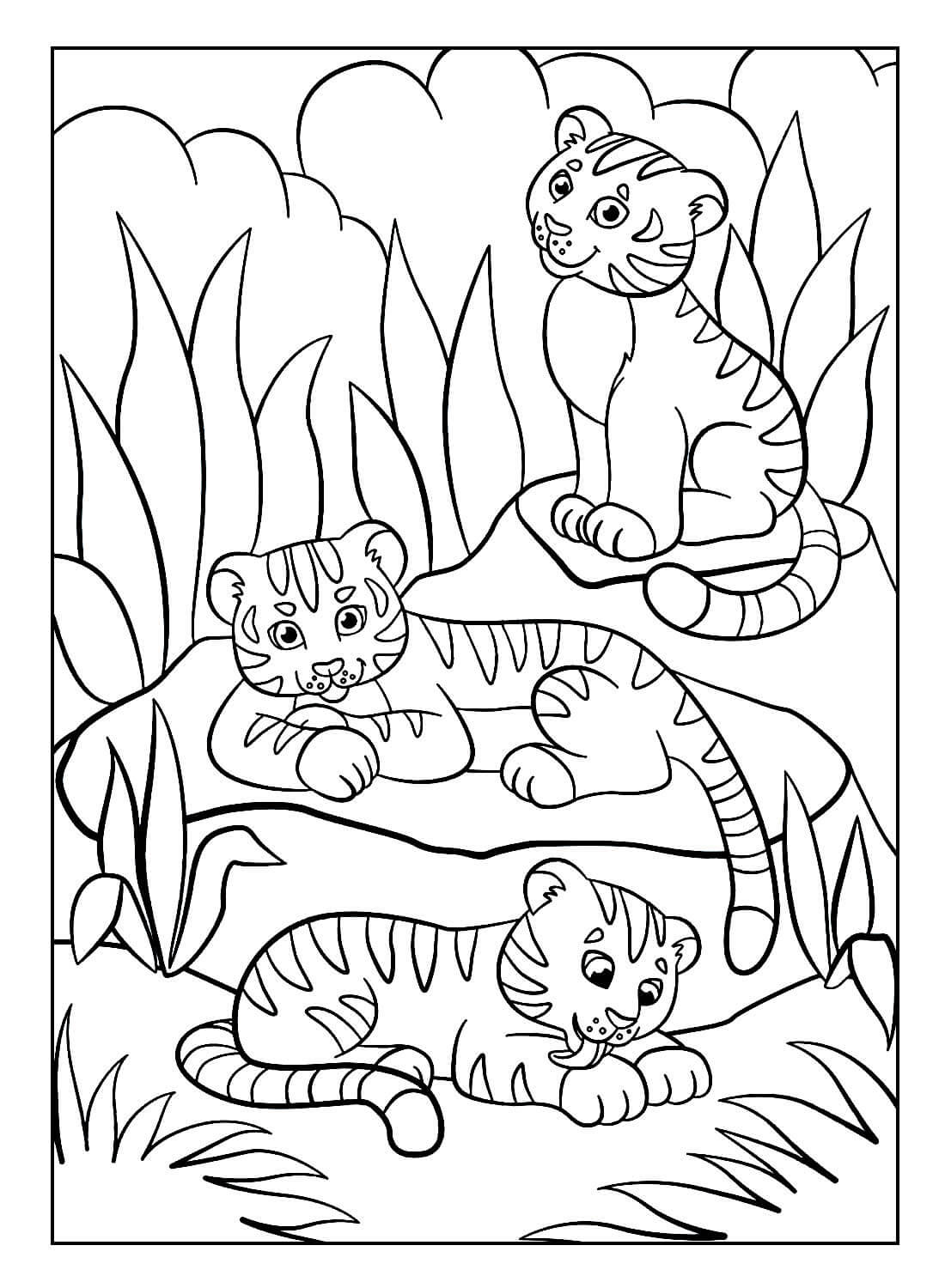 Desenho de Tigre para imprimir