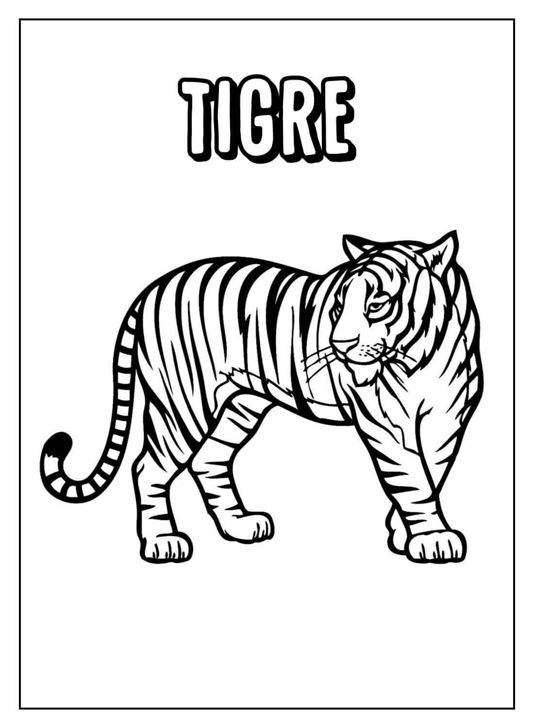 Desenho de Tigre para imprimir