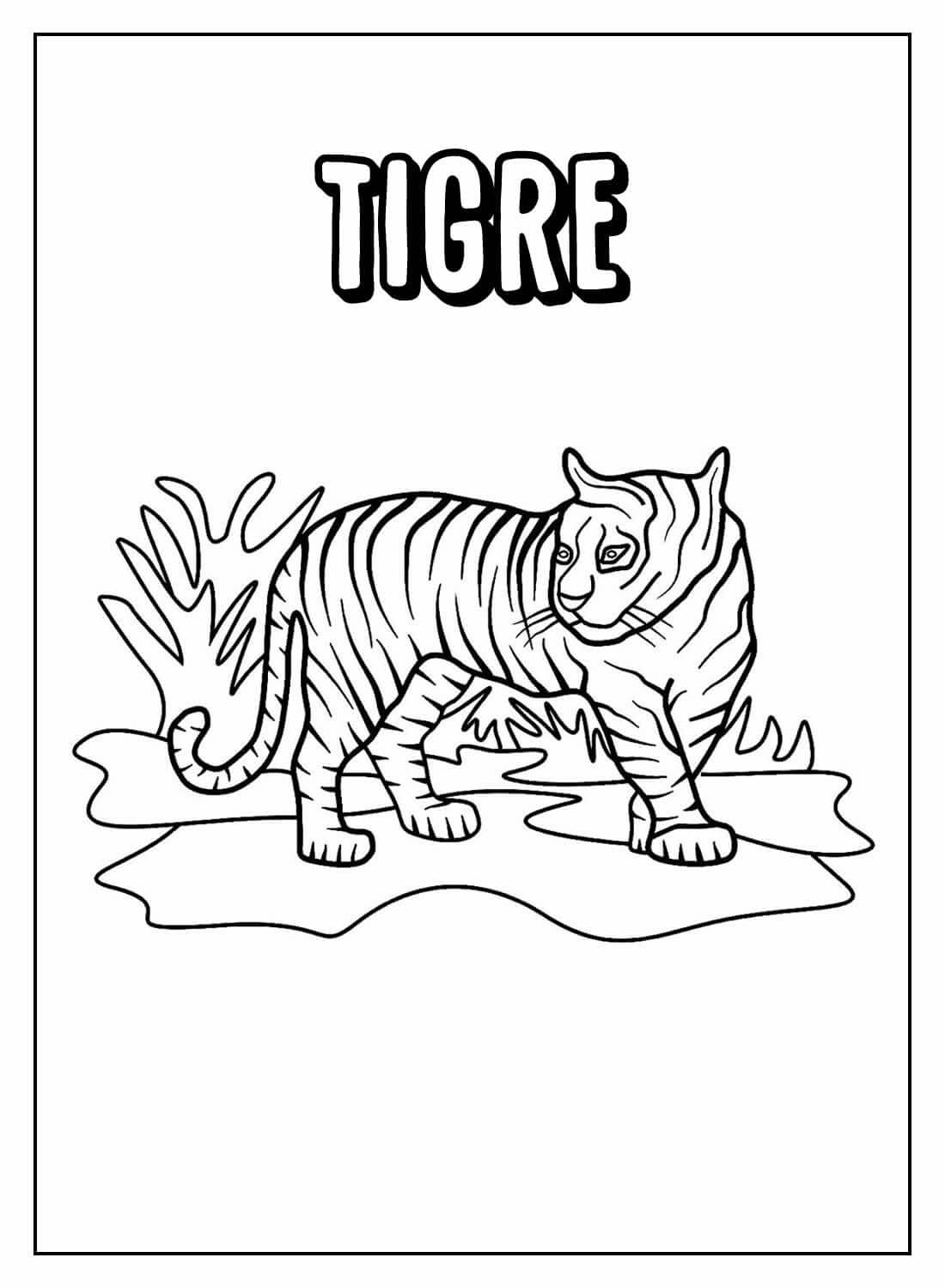 Desenho de Tigre para imprimir