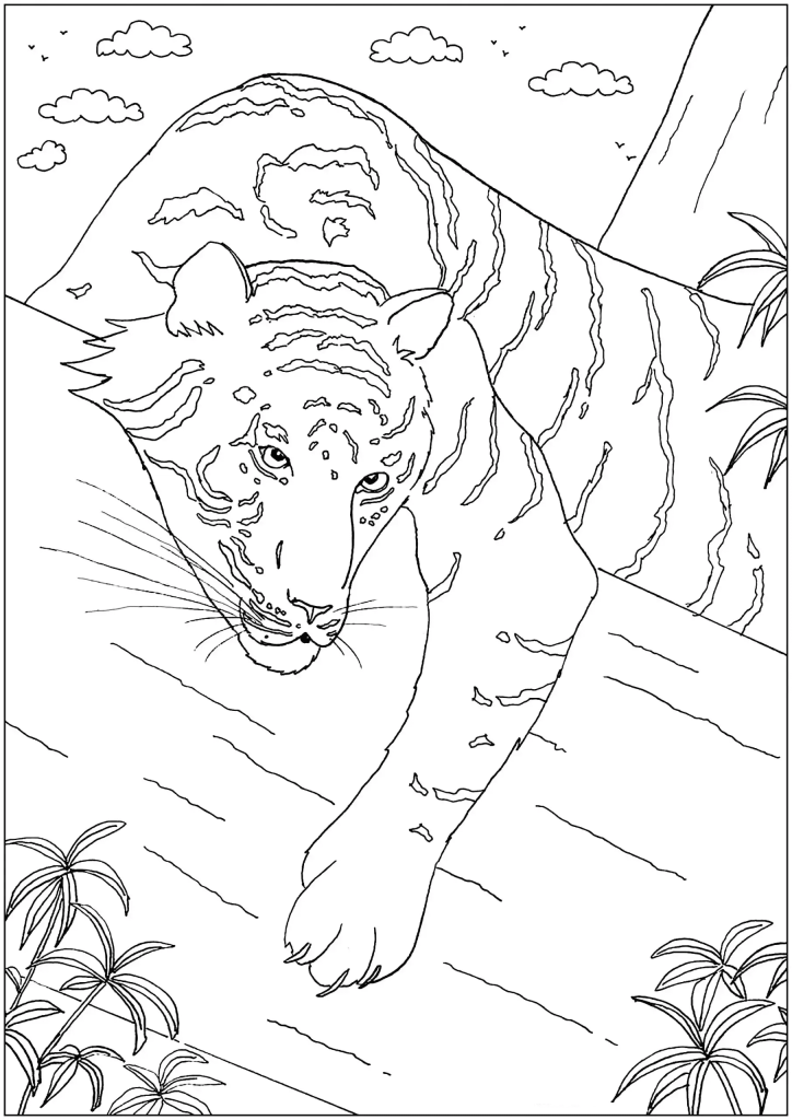 Desenho de Tigre para imprimir