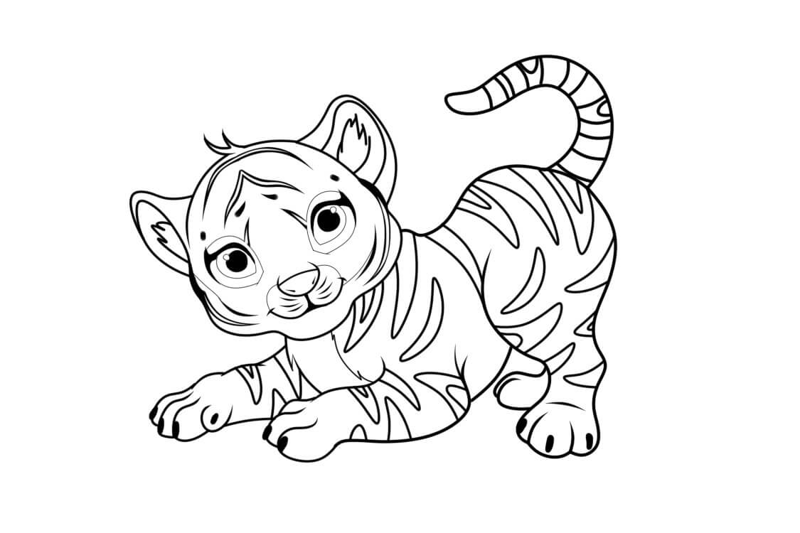 Desenho de Tigre para imprimir