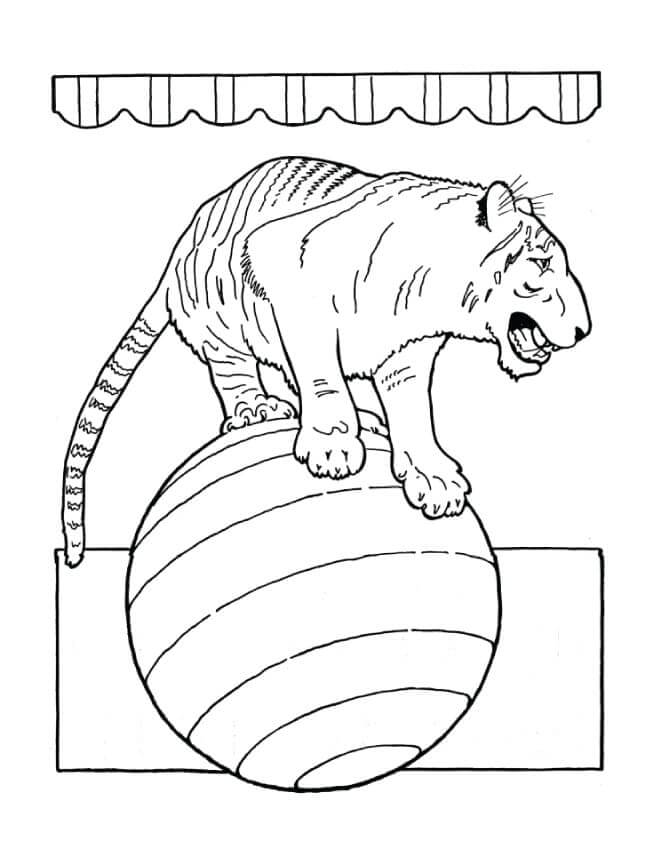 Desenho de Tigre para imprimir