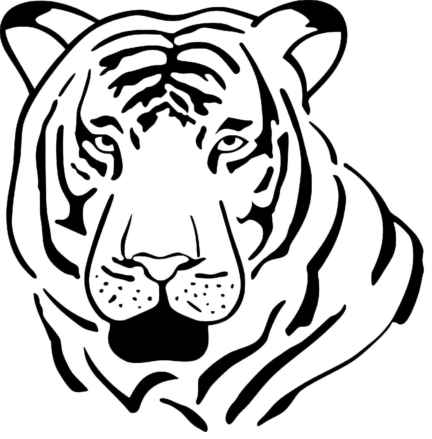 Desenho de Tigre para imprimir