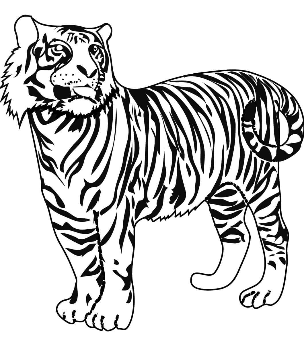 Desenho de Tigre para imprimir