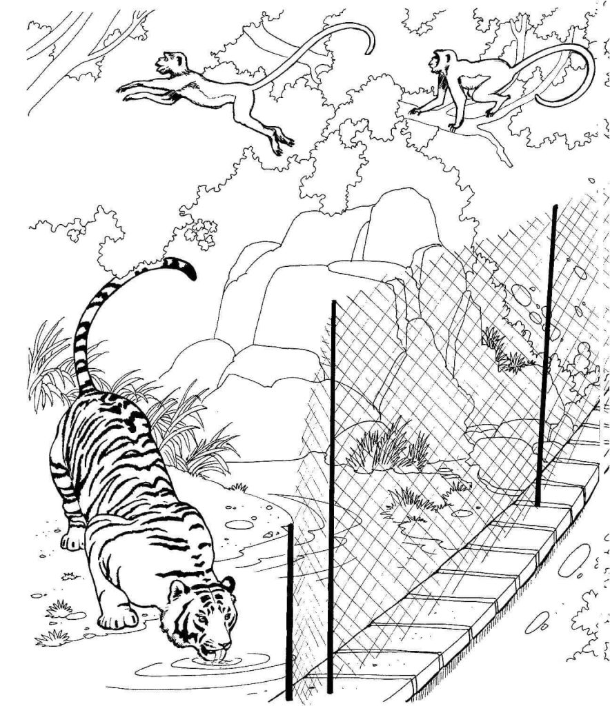 Desenho de Tigre para imprimir