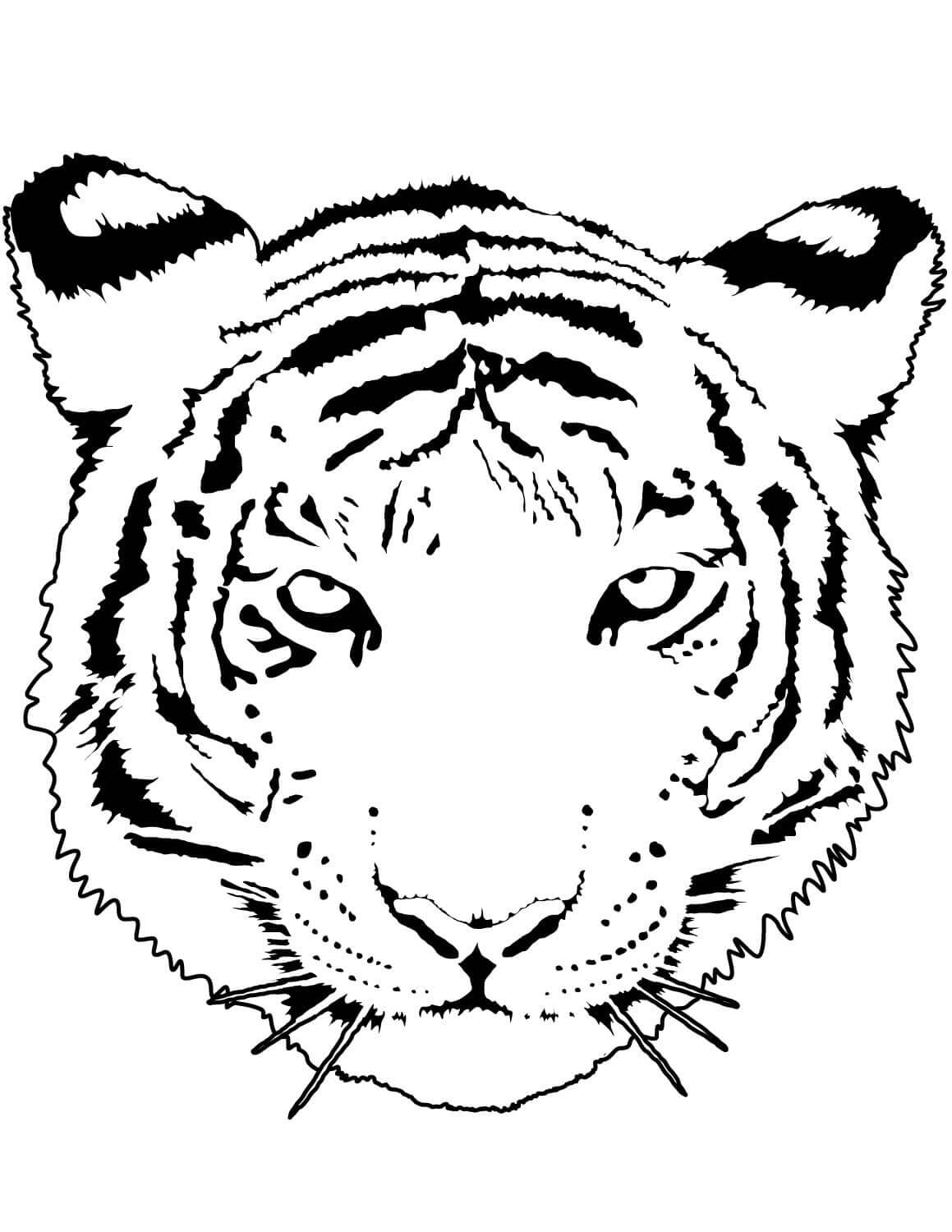 Desenho de Tigre para imprimir