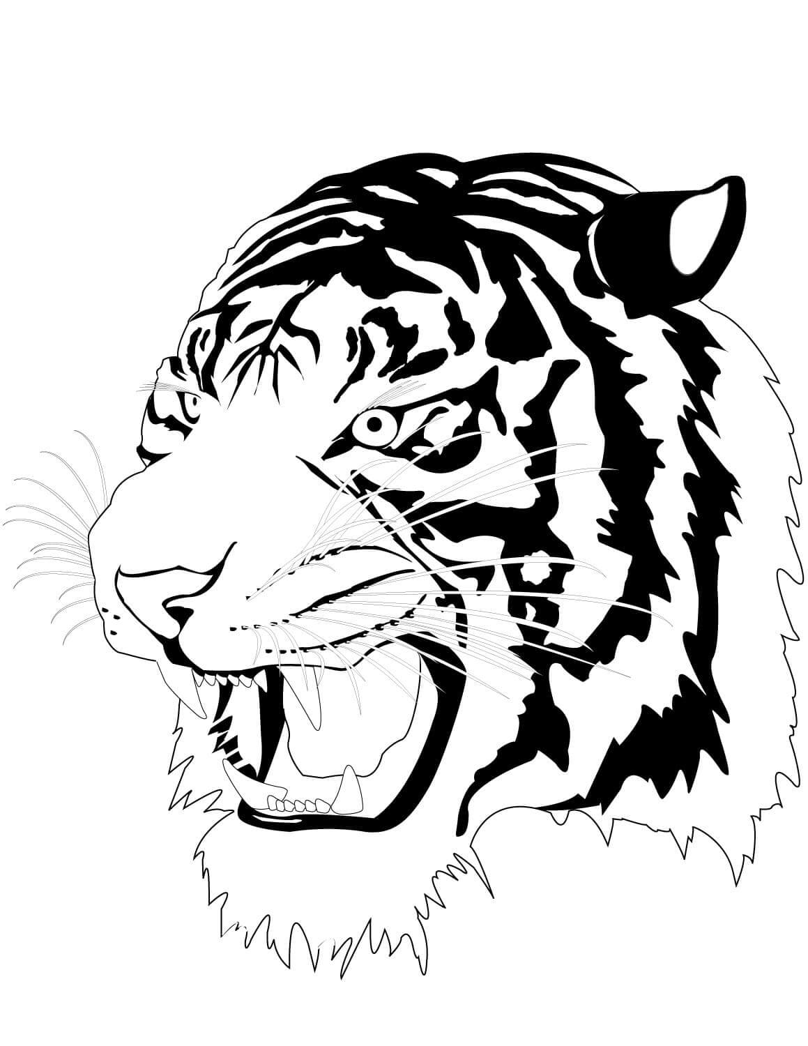 Desenho de Tigre para imprimir