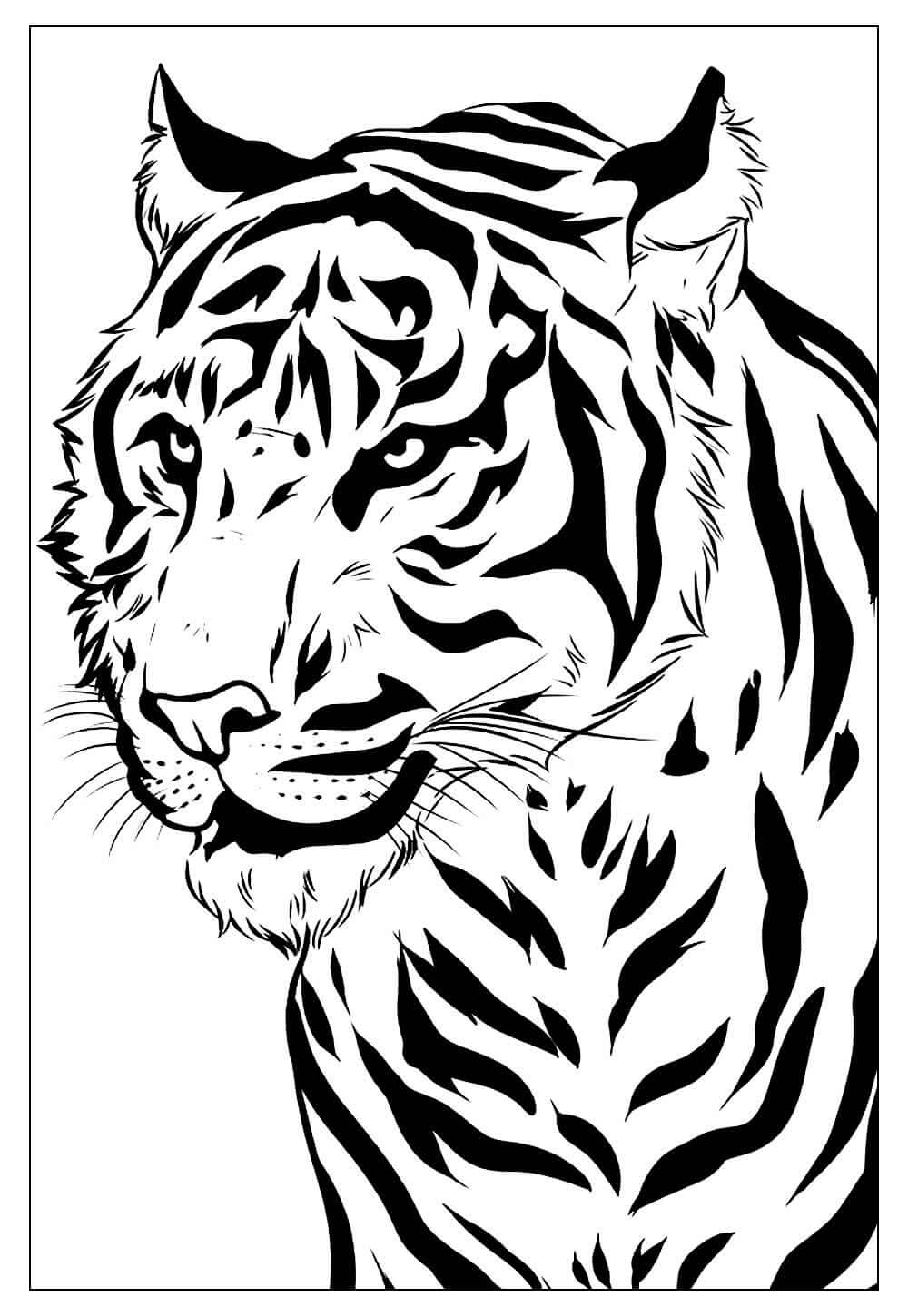 Desenho de Tigre para imprimir